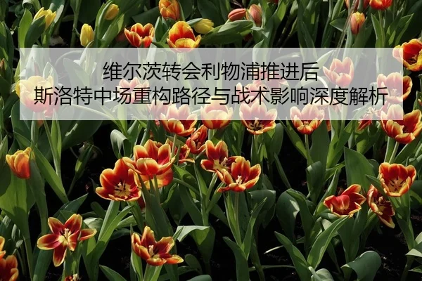 维尔茨转会利物浦推进后 斯洛特中场重构路径与战术影响深度解析